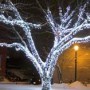 Rideau 12 Descentes Lumière Fixe Blanc Pur 2Mx15M Cable Blanc Non Prolongeable 1680 LEDS