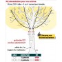 Kit Alimentation Arbres 3 Sorties Avec Redresseur Et Cable De 4 Mètres