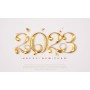 CARTE DE VOEUX 2023 OR SUR FOND CLAIR V3 IMPR RECT-VERSO X100