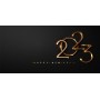 CARTE DE VOEUX 2023 OR SUR FOND NOIR V1 IMPR RECTO-VERSO X 100