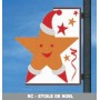 ETOILE DE NOEL - CANDÉLABRE - RÉFLÉCHISSANT - (H)1.40 x (L)1.20 m