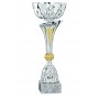 Coupe Traditionnelle Argentée Et Dorée 30 Cm