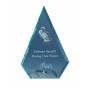 Trophée transparent Quartz Avec Écrin 16Cm